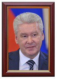 Портрет мэра Москвы Собянина С.С.